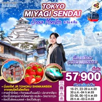 TOKYO MIYAGI SENDAI SNOW MONSTER 6D 4N โดยสายการบินไทย [TG]