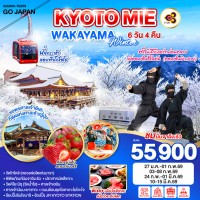 KYOTO MIE WAKAYAMA WINTER 6D 4N โดยสายการบินไทย [TG]