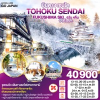 บินตรง TOHOKU SENDAI FUKUSHIMA SKI WINTER 6D 4N โดยสายการบินไทยแอร์เอเชีย เอ็กซ์ [XJ]
