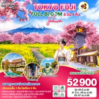 TOKYO FUJI SAKURA FULL BLOOM 6D 4N โดยสายการบินไทย [TG]