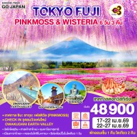 TOKYO FUJI PINKMOSS & WISTERIA 6D 3N โดยสายการบินไทย [TG]