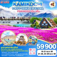TOKYO OSAKA TAKAYAMA KAMIKOCHI PINKMOSS 6D 4N โดยสายการบินไทย [TG]