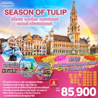 SEASON OF TULIP ฝรั่งเศส - เบลเยี่ยม - เนเธอร์แลนด์ - เยอรมนี - สวิตเซอร์แลนด์ 9 วัน 6 คืน โดยสายการบิน Emirates (EK)
