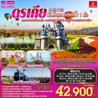 ตุรเคีย ชมดอกทิวลิปที่อีเมอร์กัน มนต์ขลังคัปปาโดเกีย และปราสาทเทพนิยายซาโซวา 10 วัน 7 คืน พักโรงแรมสไตล์ถ้ำ 1 คืน โดยสายการบินเอมิเรตส์ (EK)