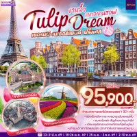 เยอรมนี เนเธอร์แลนด์ เบลเยียม ฝรั่งเศส Tulip Dream งามล้ำที่เคอเคนฮอฟ 9 วัน 6 คืน โดยสายการบินไทย (TG)