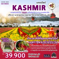 INDIA ตะลุยทุ่งดอกไม้แคชเมียร์ TULIP บานกลางกอดหิมาลัย นอนโรงแรมทุกคืน ศรีนาคา พาฮาลแกรม กุลมาร์ค โซนามาร์ค เดลี 6วัน 4คืน โดย THAI AIRWAYS (TG)