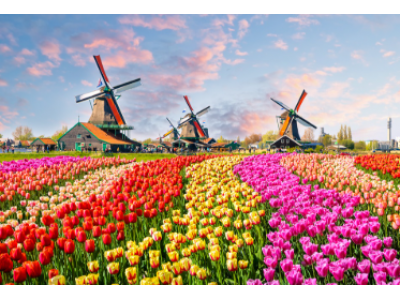 มหัศจรรย์ 3 เมืองหลวง ตระการตาสวนทิวลิป ฝรั่งเศส เบลเยี่ยม เนเธอร์แลนด์ 8 วัน 5 คืน โดยสายการบิน EMIRATES (EK)