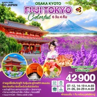 OSAKA KYOTO FUJI TOKYO COLORFUL 6D 4N โดยสายการบินไทย [TG]