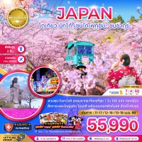 โตเกียว นิกโก้ เซนได ฟุกุชิมะ ชมซากุระ (เที่ยวอิสระ 1 วัน)